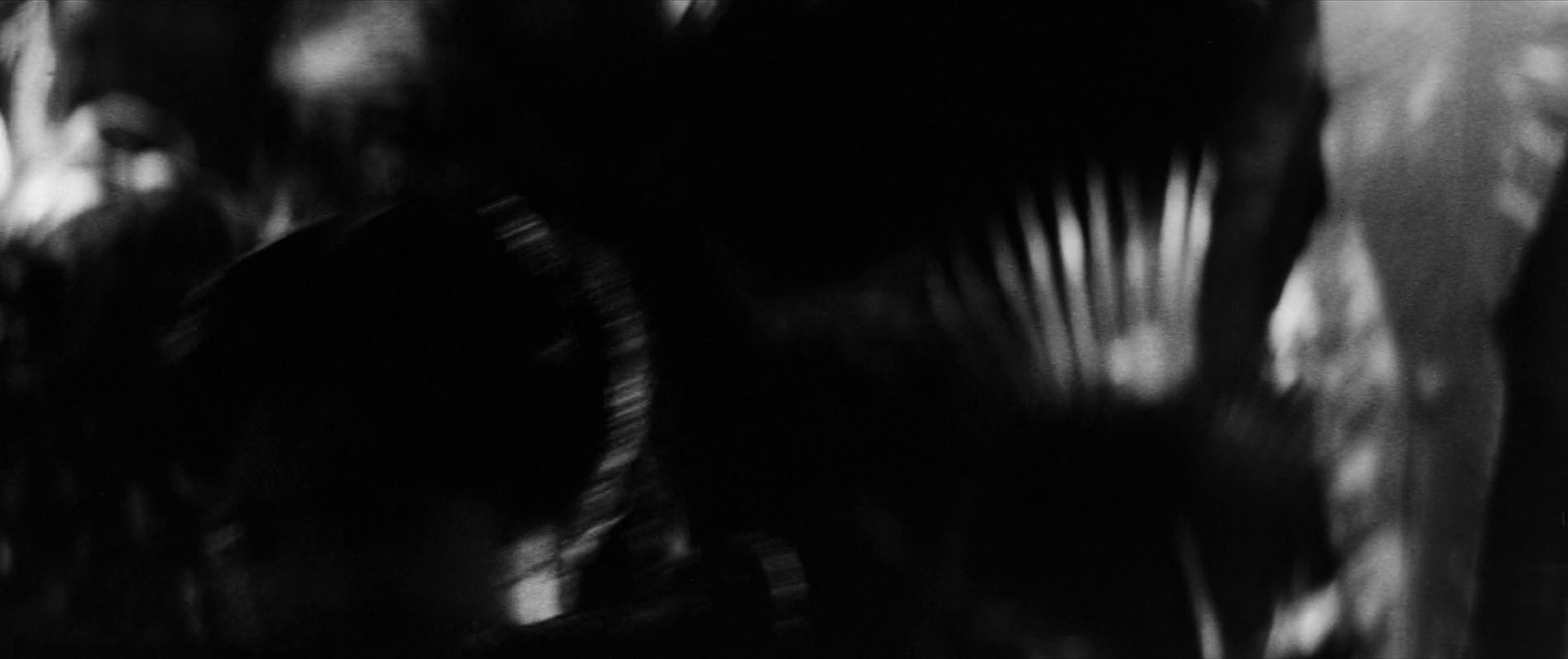 Shot 5