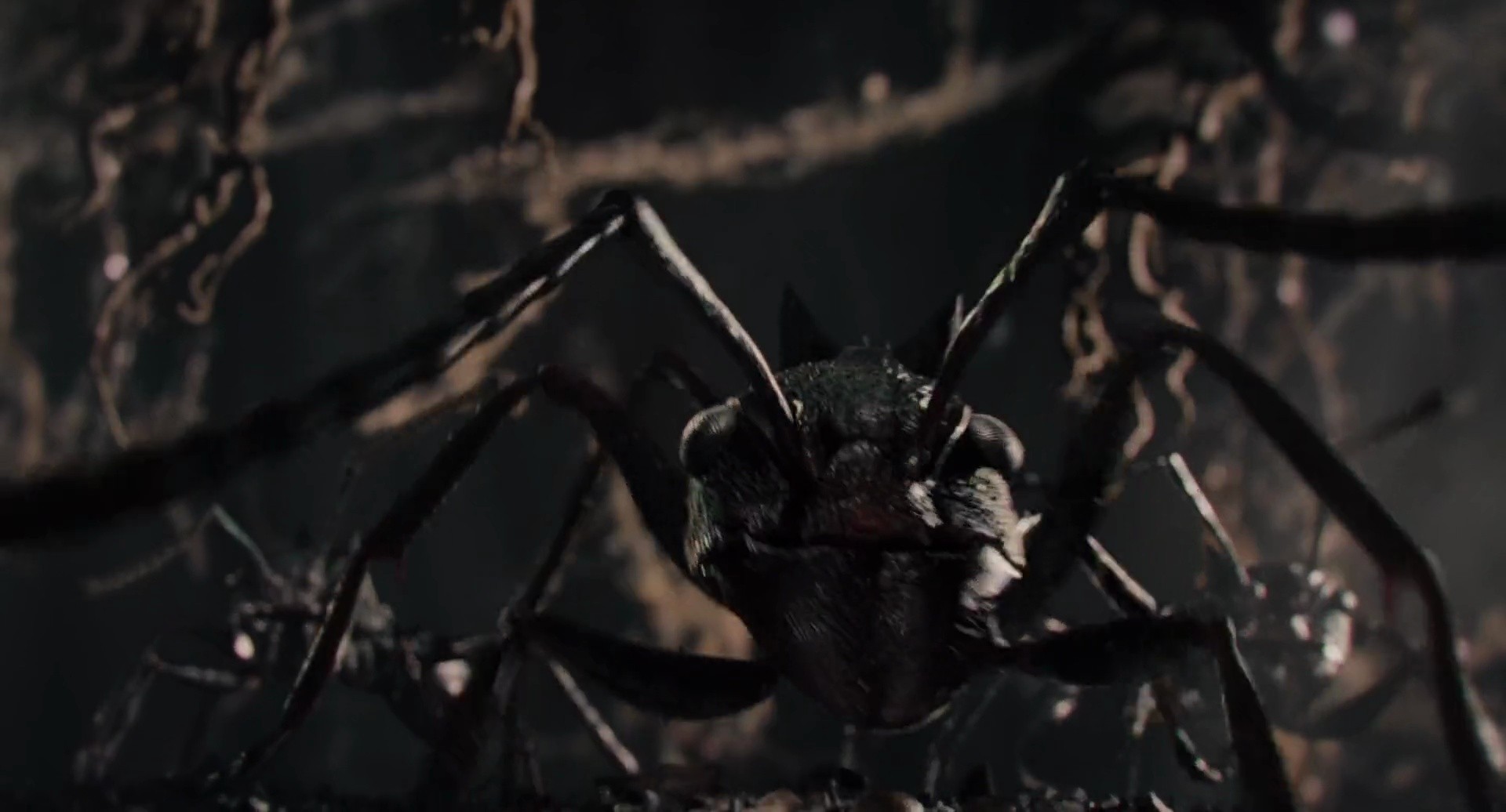 Shot 1073