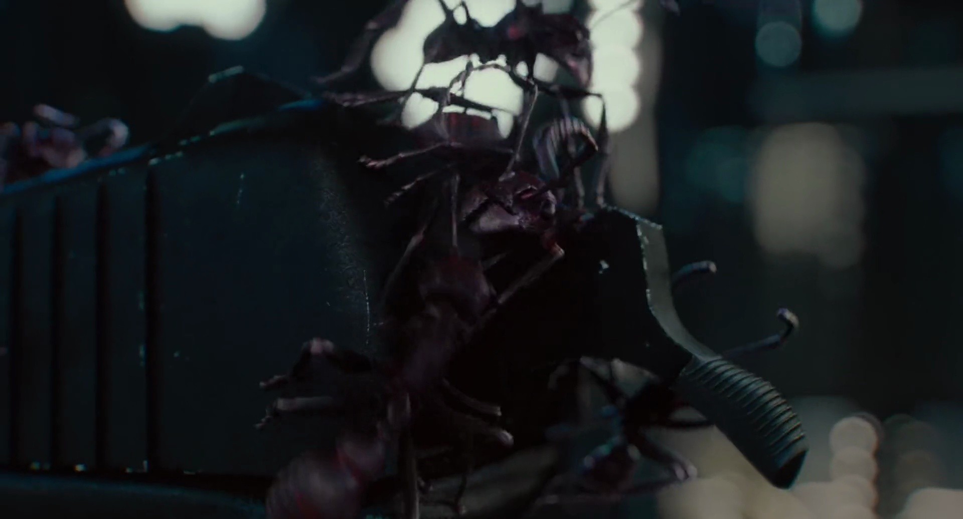 Shot 1908