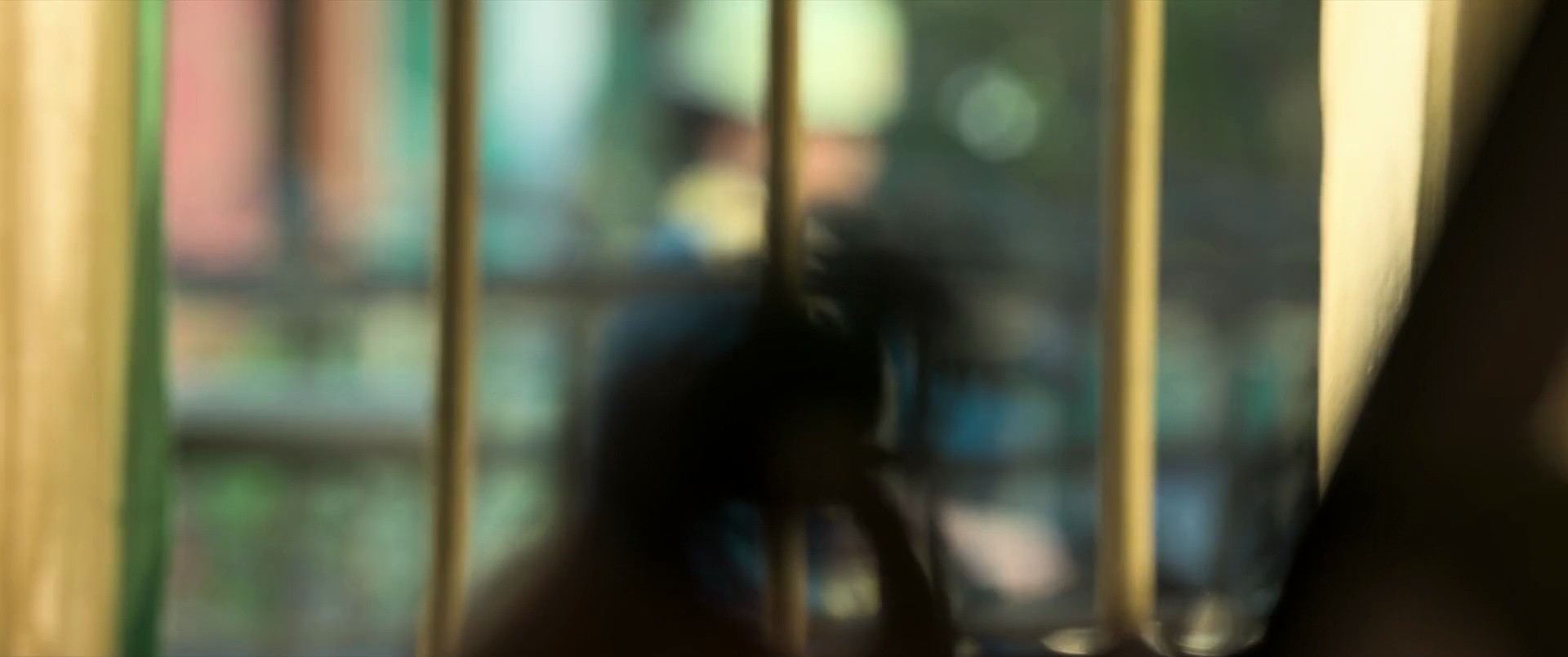 Shot 522