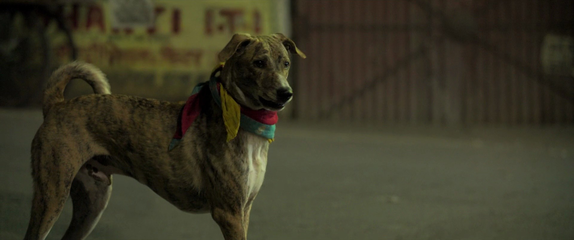 Shot 1665