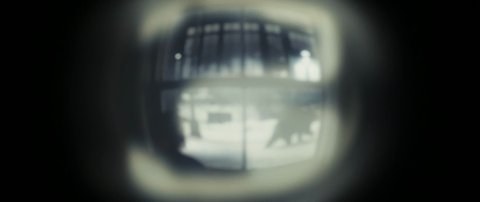 Shot 8