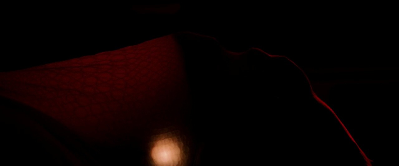 Shot 23