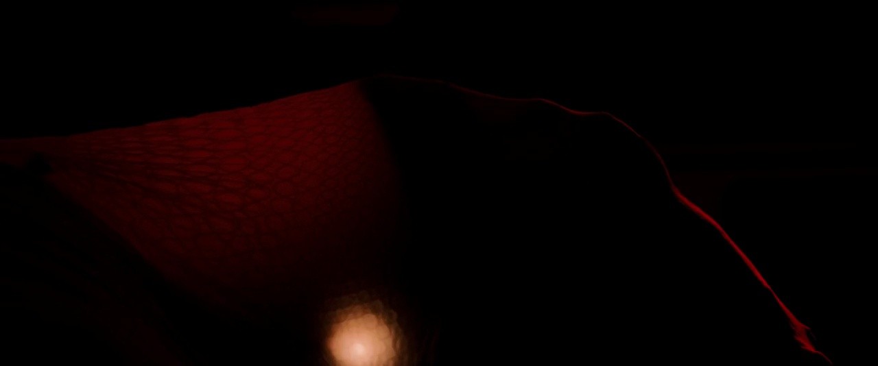 Shot 21