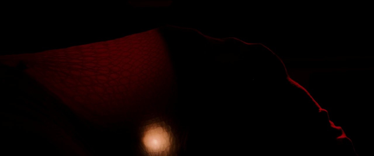 Shot 20