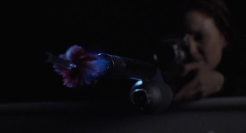 Shot 1126
