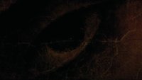 Shot 2