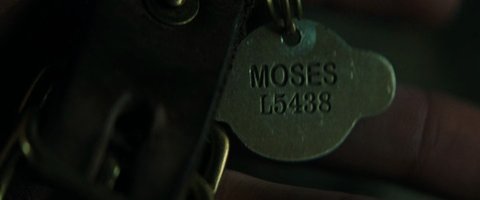Shot 1298