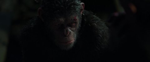 Shot 692
