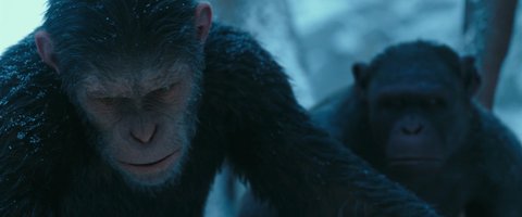 Shot 622