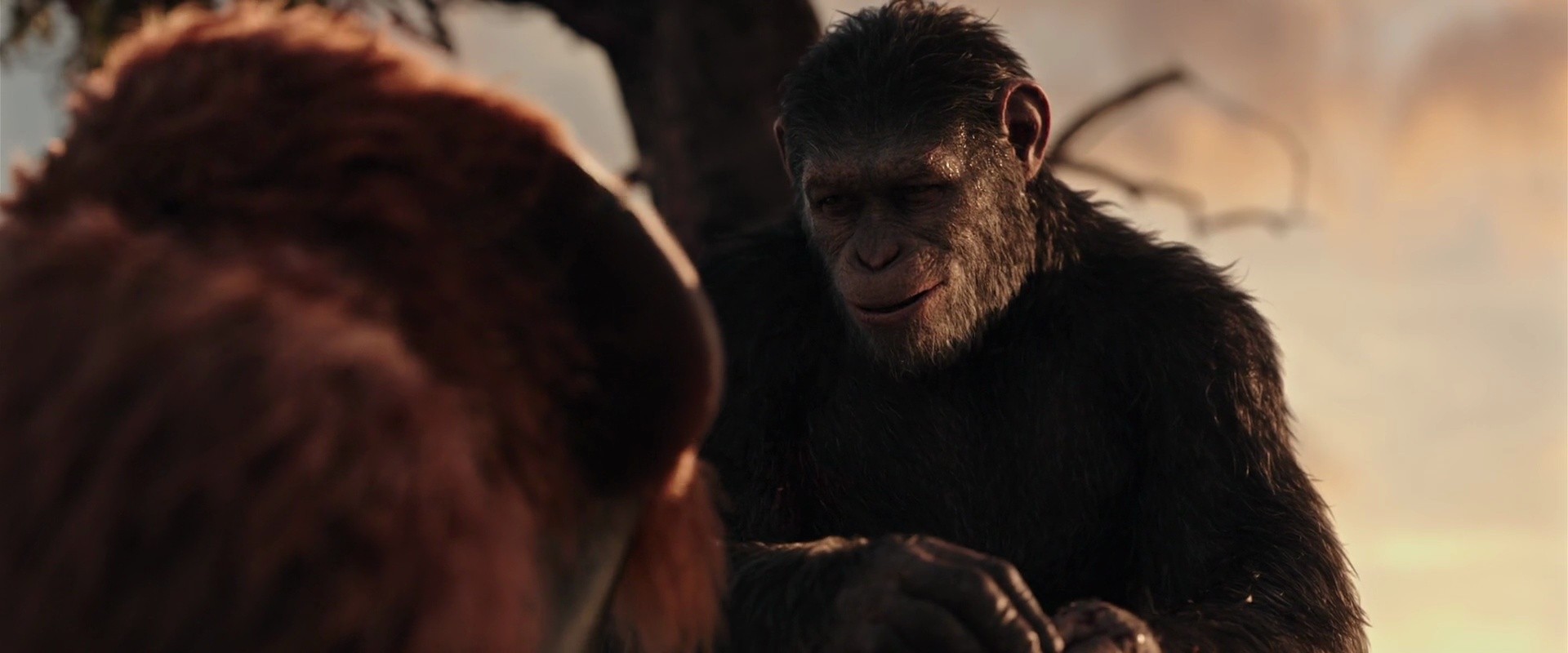 Shot 1459