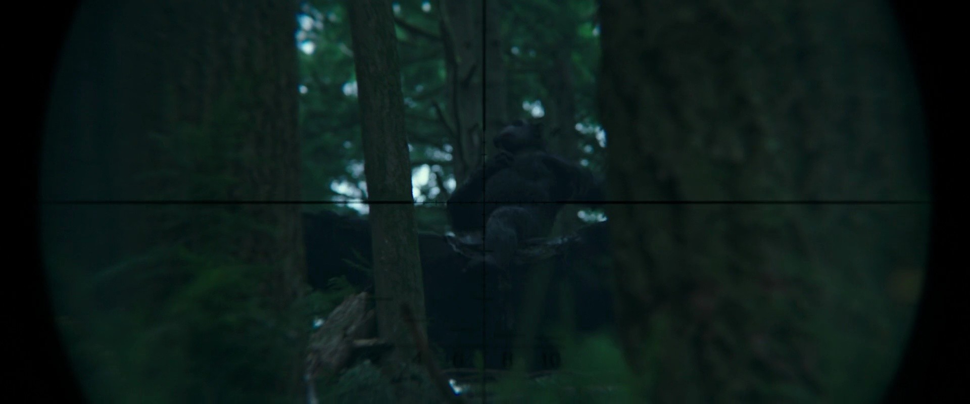 Shot 39
