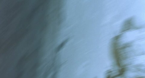 Shot 1034