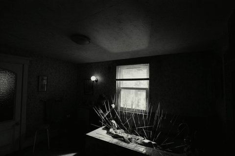 Shot 283