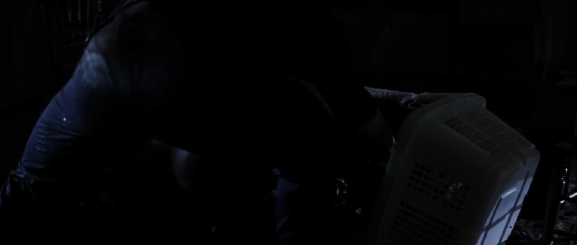 Shot 1812