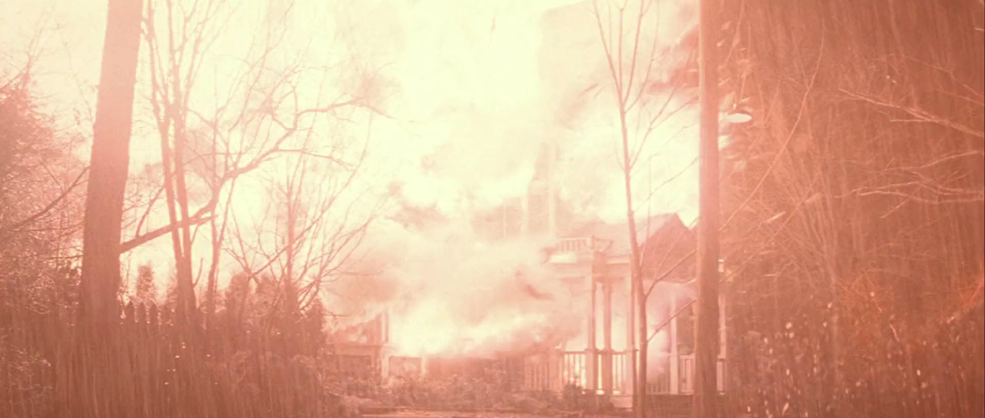 Shot 1973