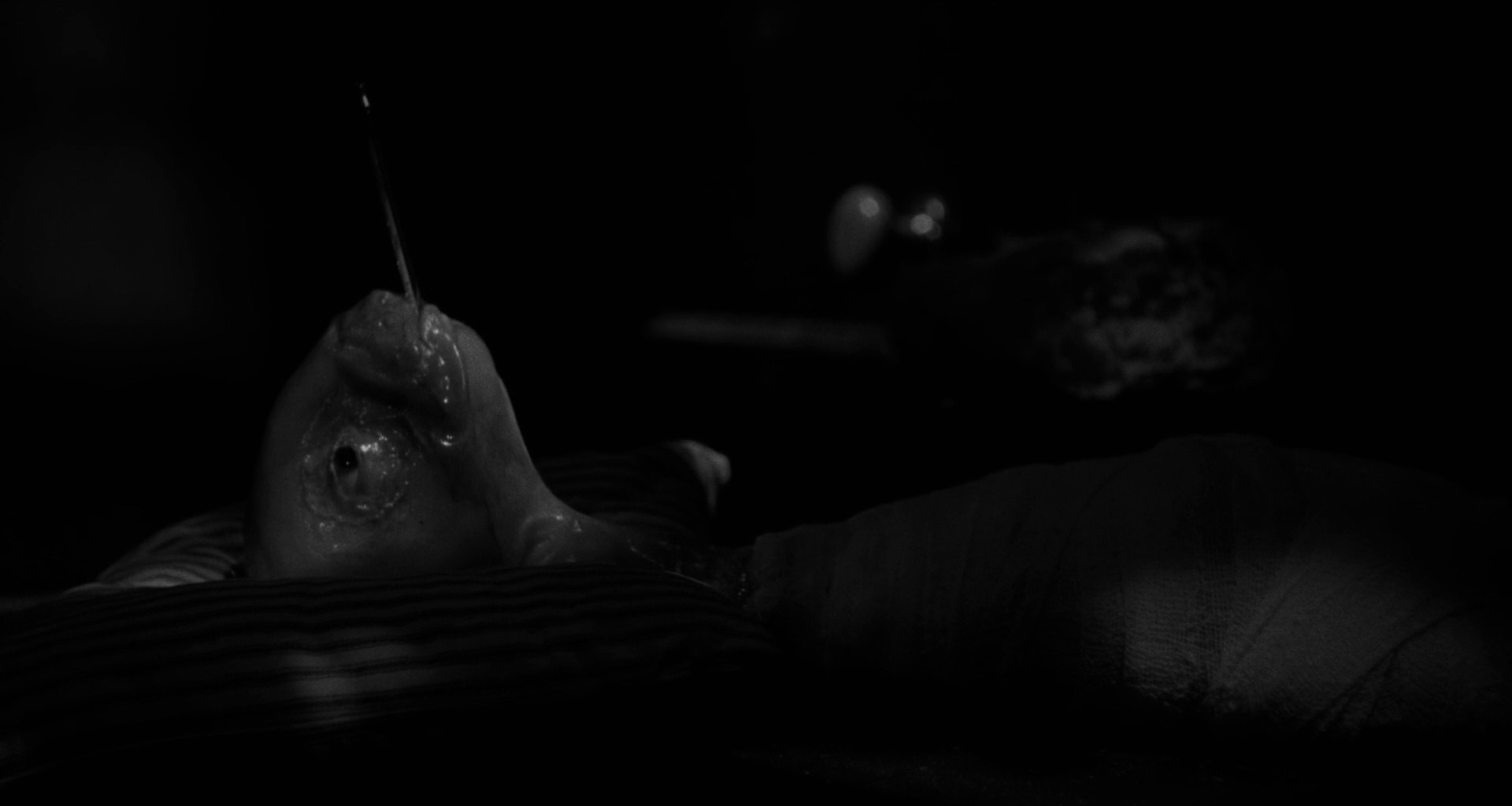 Shot 159