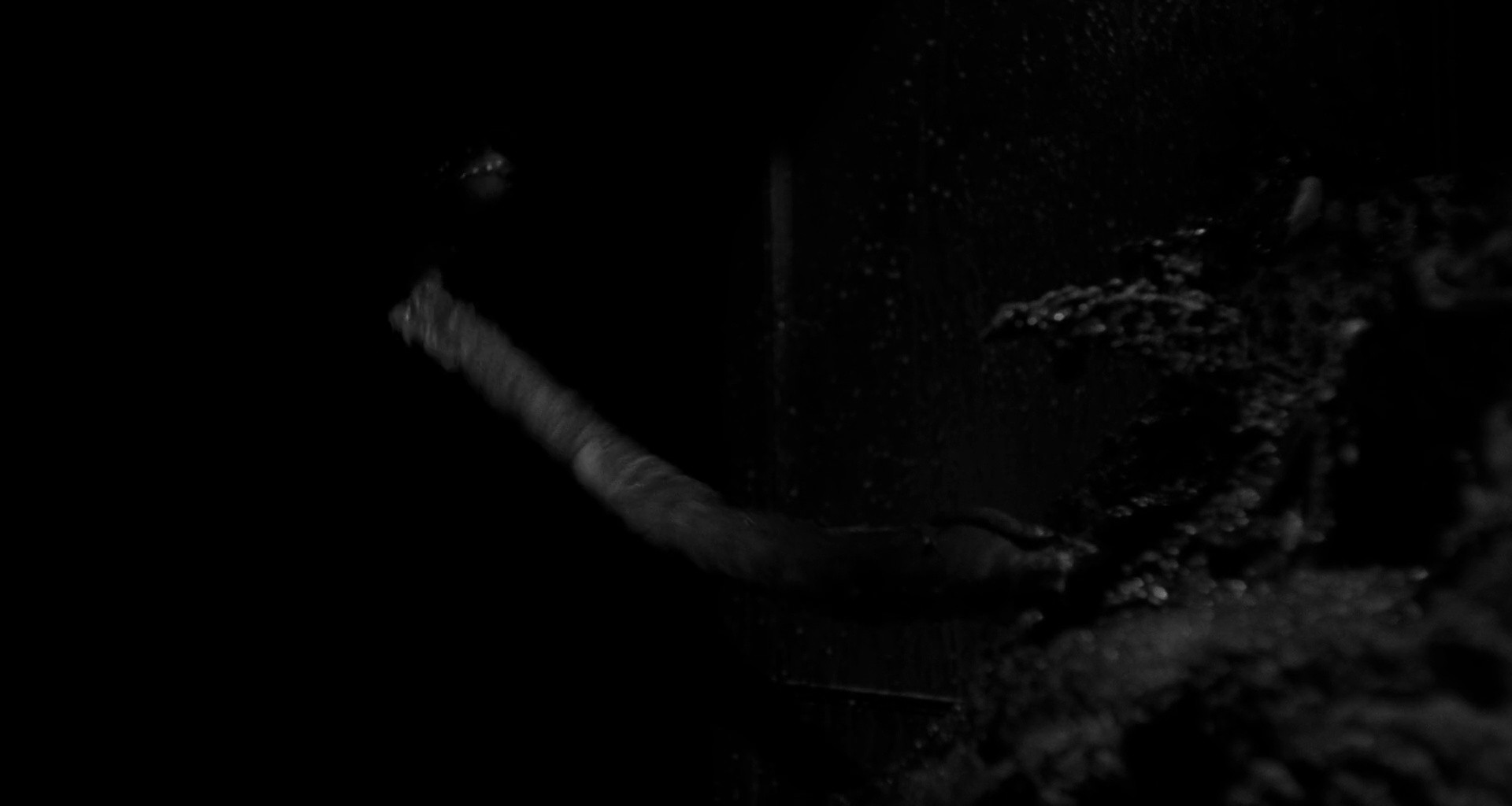 Shot 353