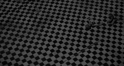 Shot 239