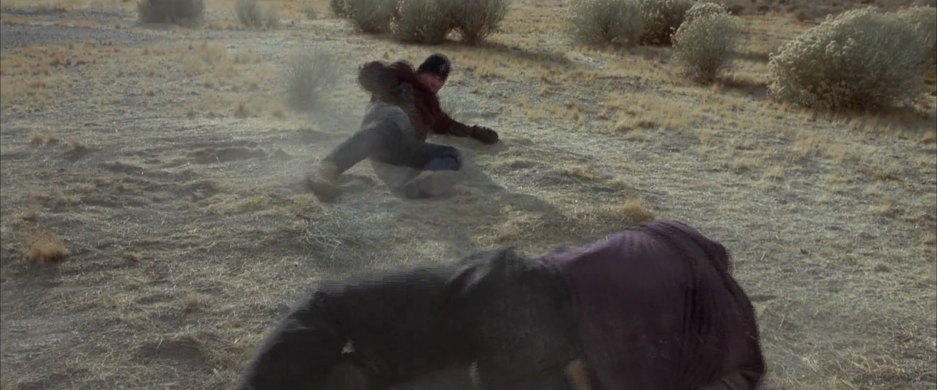 Shot 1178