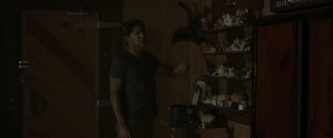 Shot 198