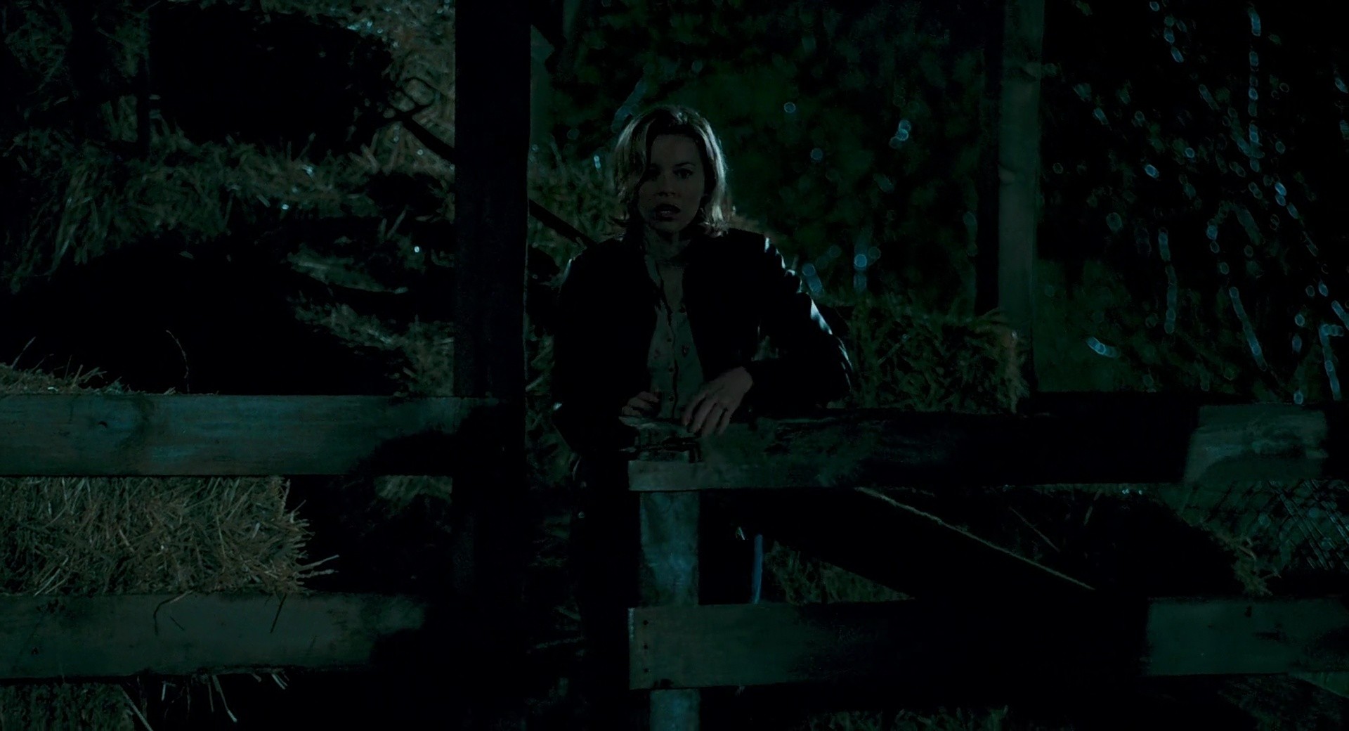 Shot 736