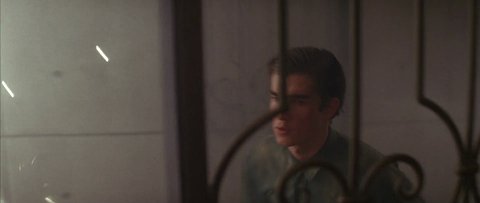 Shot 1988