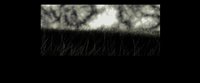 Shot 5