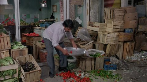 Shot 24