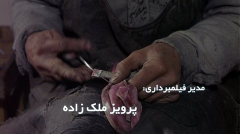 Shot 3