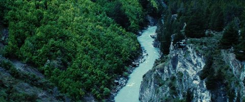 Shot 549