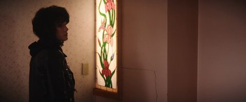 Shot 528