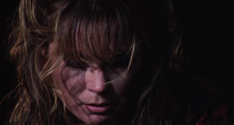 Shot 1981