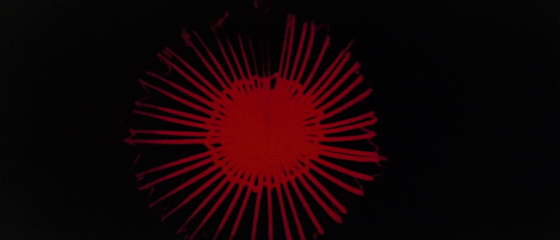 Shot 2049