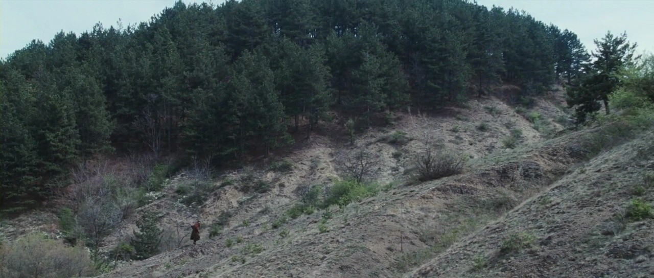 Shot 510