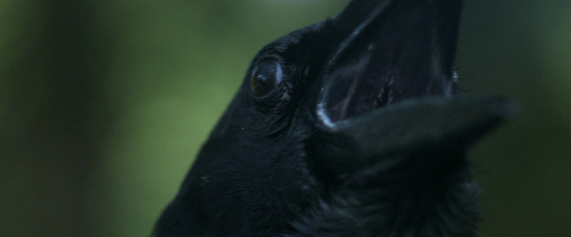 Shot 1347