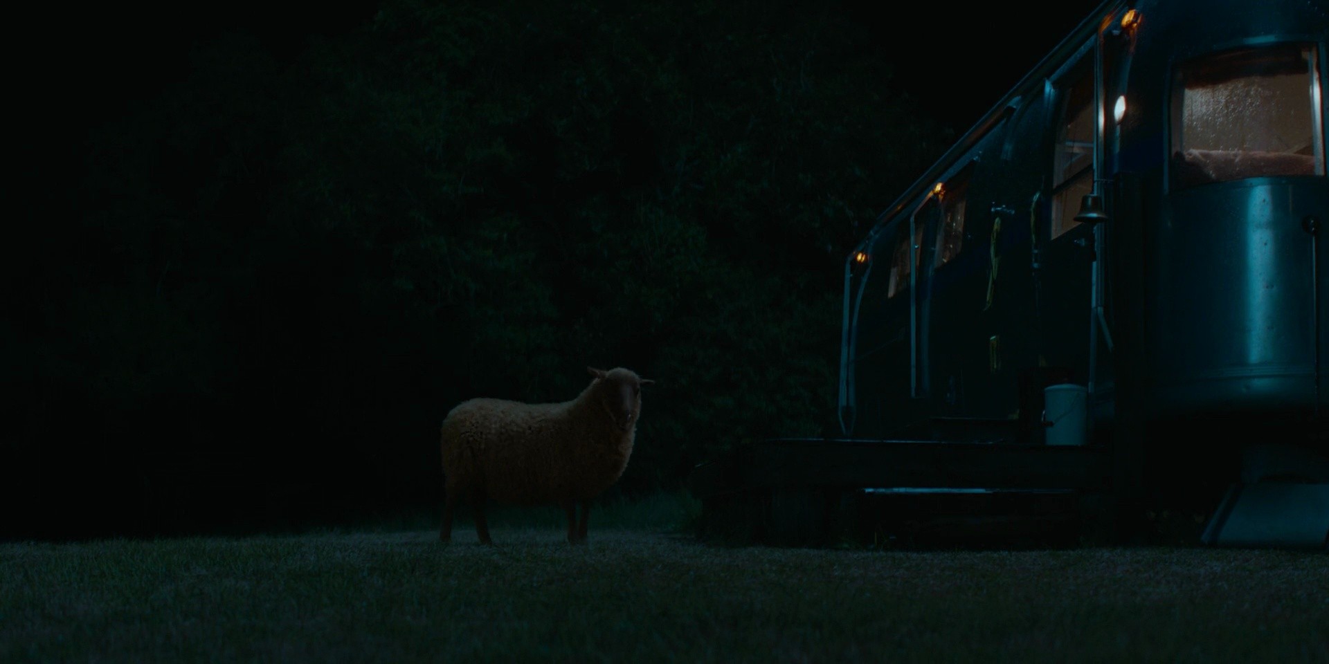 Shot 1200