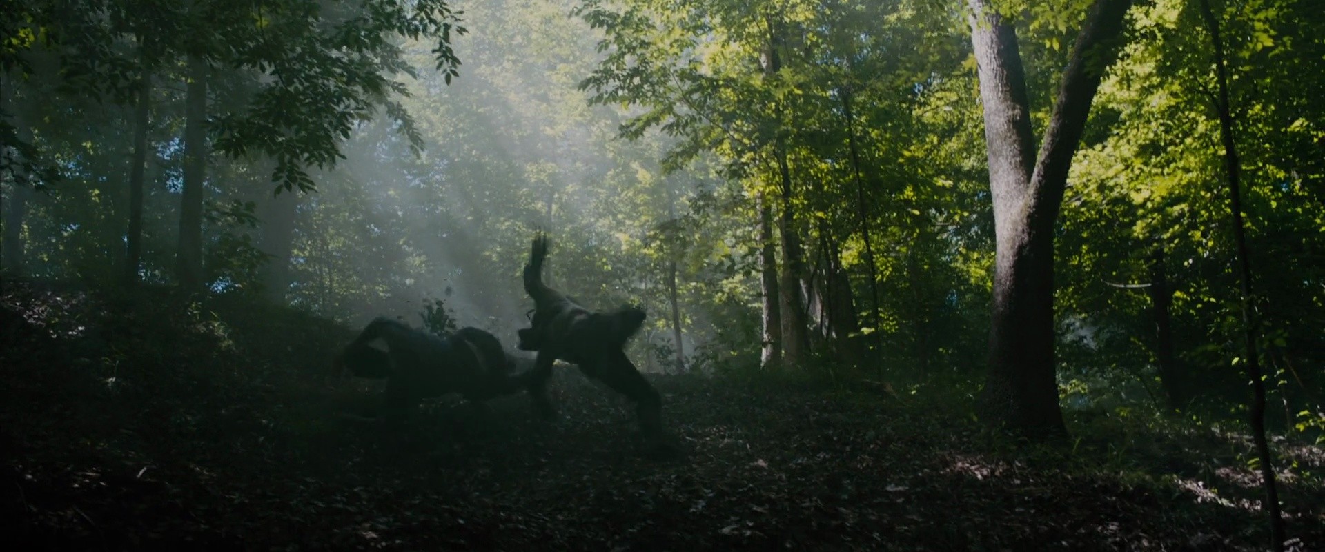 Shot 346