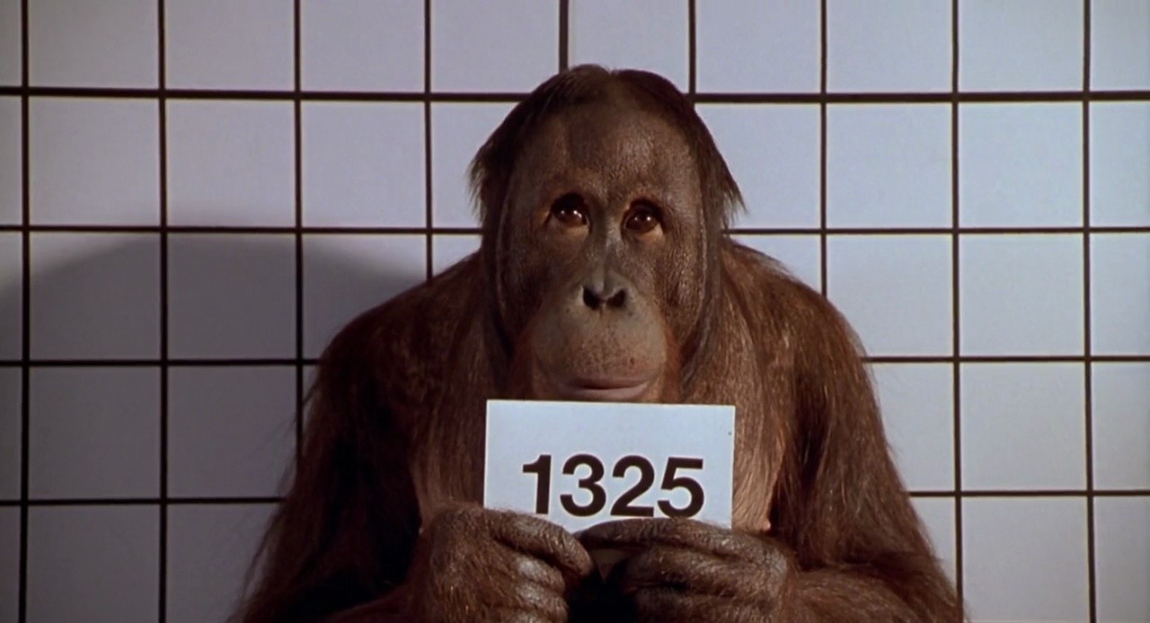 Shot 952