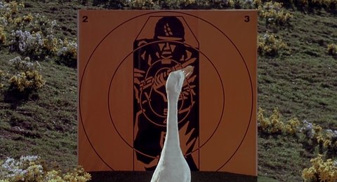 Shot 433