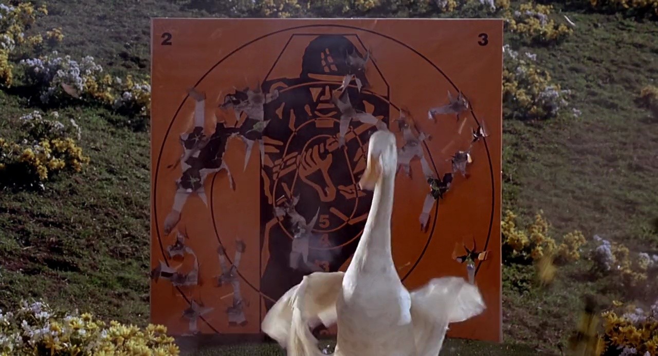 Shot 435