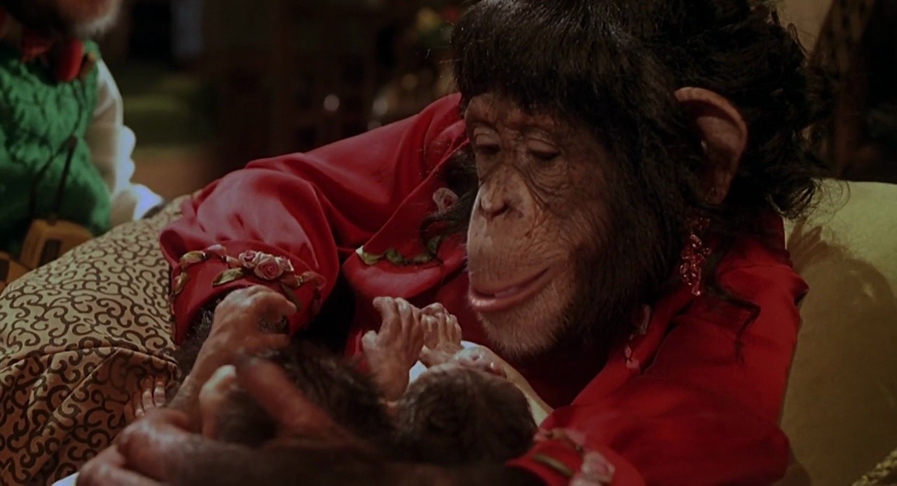 Shot 726