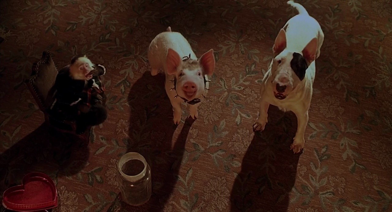 Shot 698