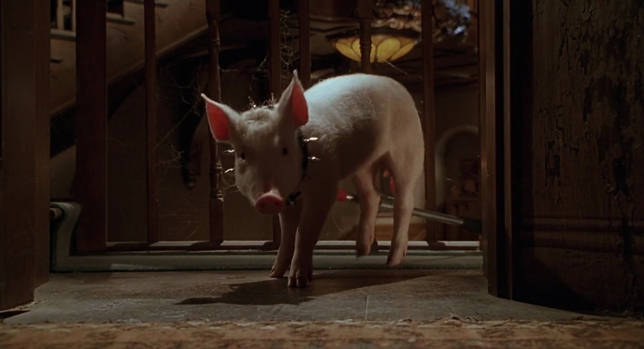 Shot 871