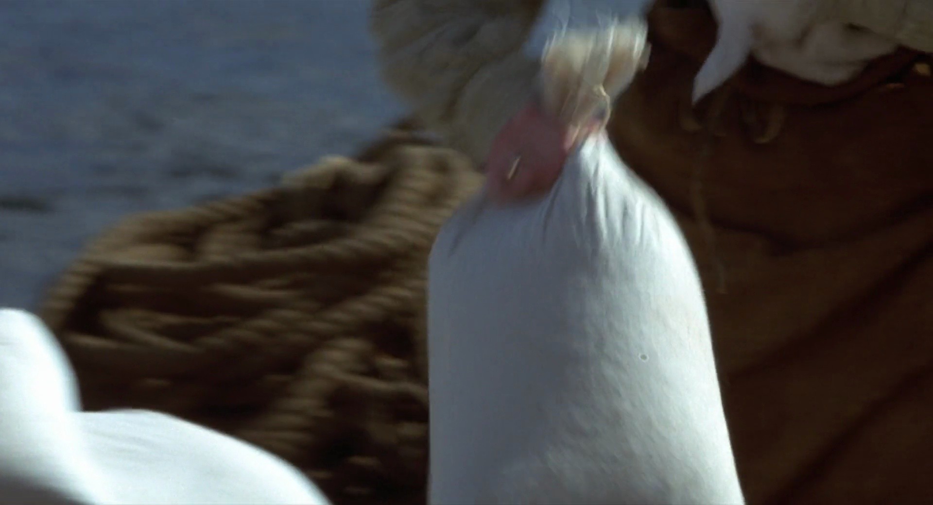 Shot 520