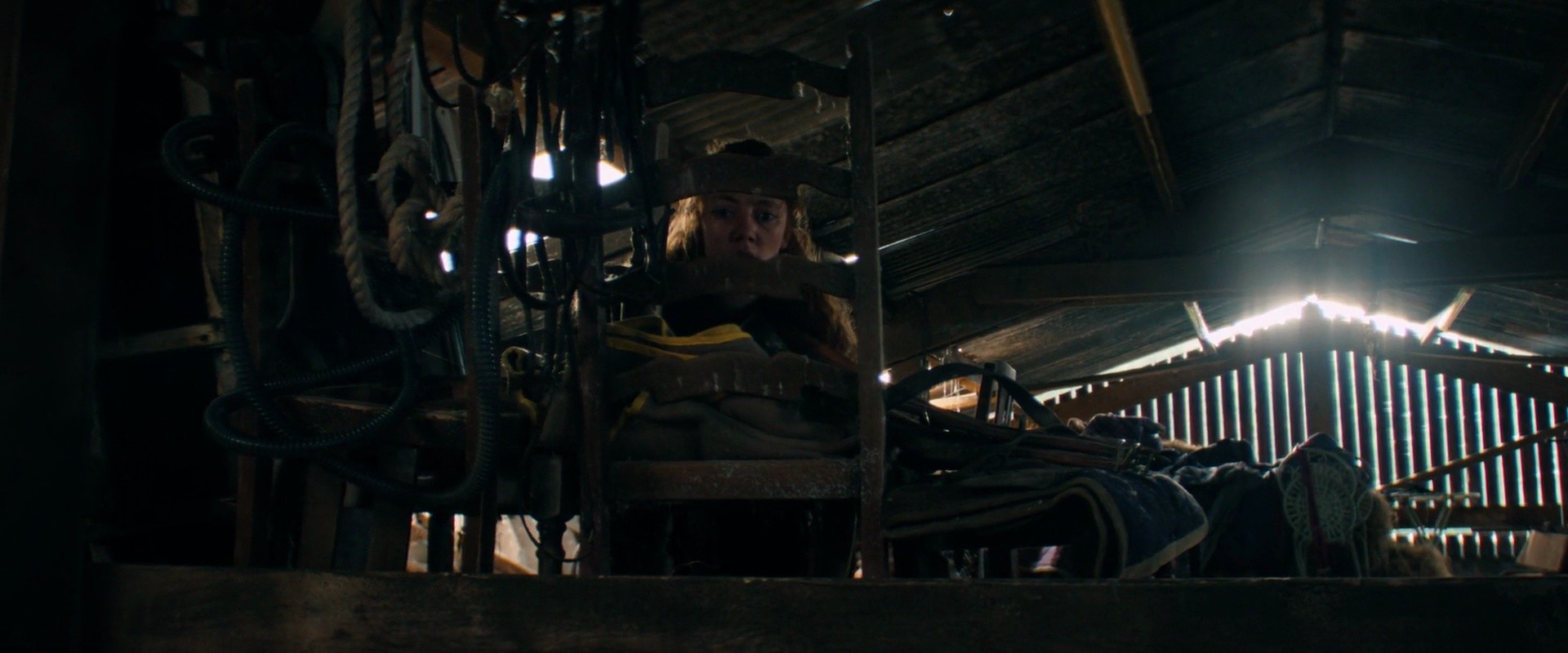 Shot 505