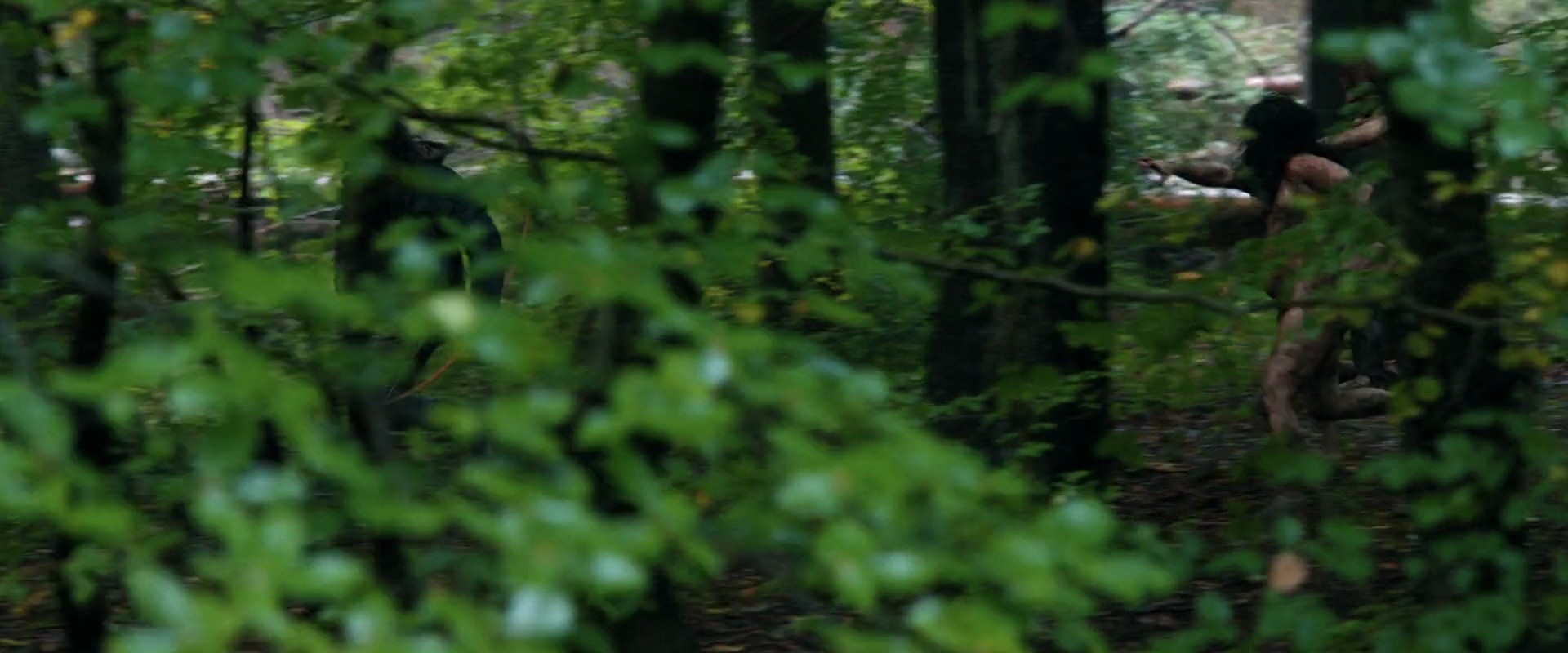 Shot 155