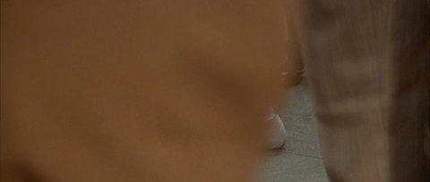 Shot 363
