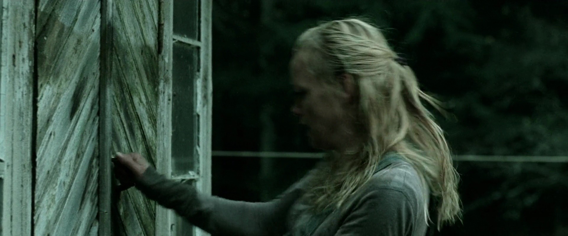 Shot 1291