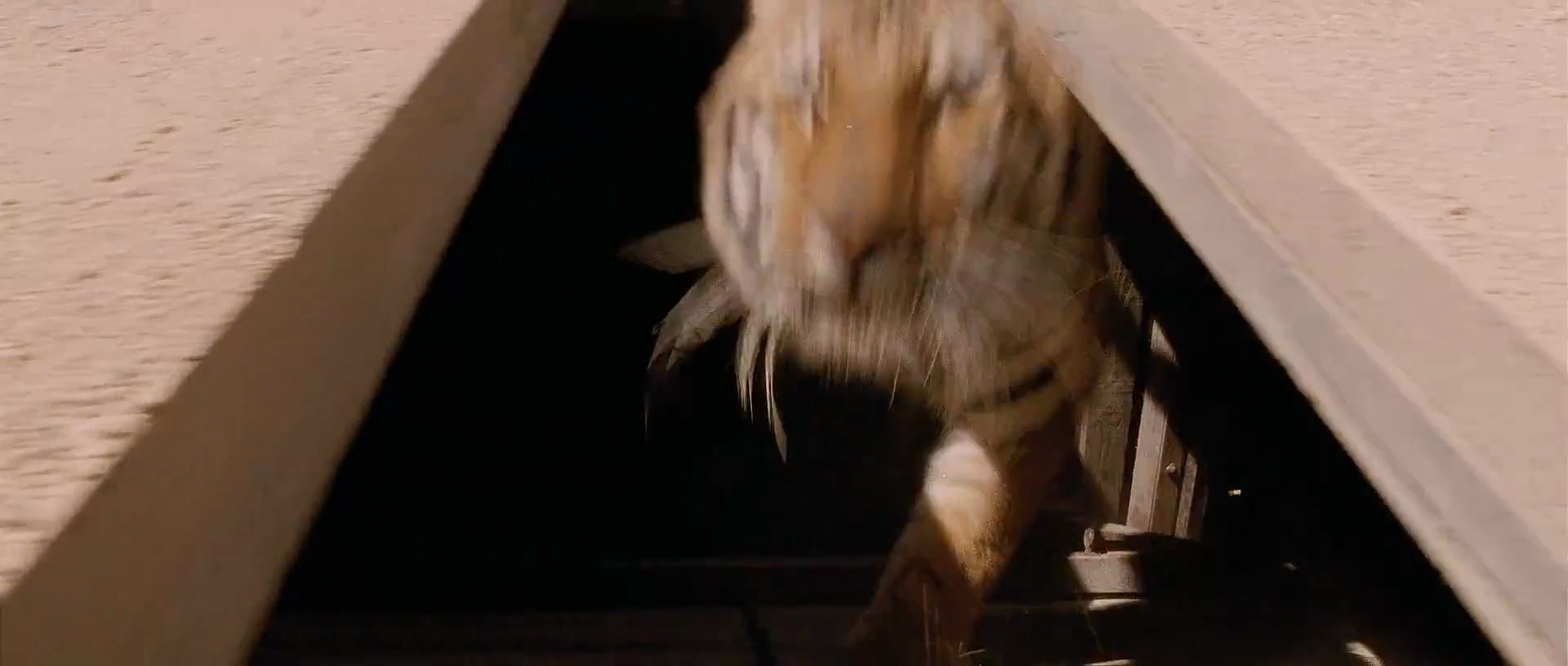 Shot 1948
